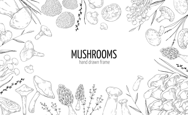 Vector marco de setas bordes de grabado dibujados a mano de hongos vegetales champiñón natural y shiitake trufa gourmet o boletus plantas forestales comestibles diseño de maqueta de etiqueta de paquete blanco y negro vectorial