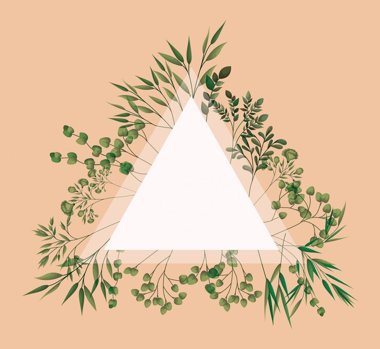 Vector marco triangular con hojas de laurel.