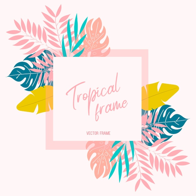 Marco tropical