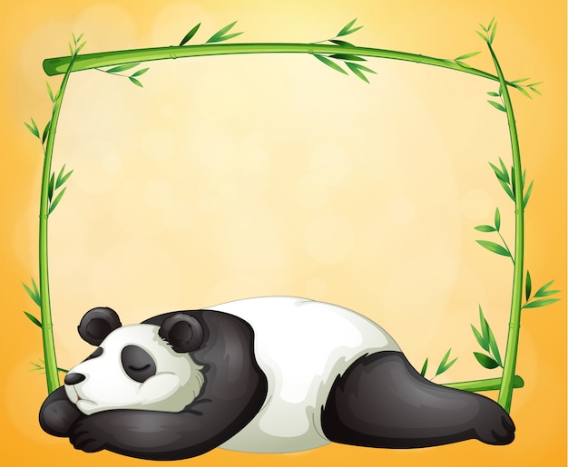 Un marco vacío y el panda dormido