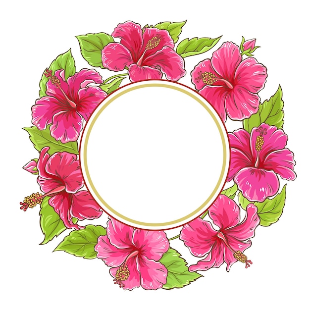 marco de vector de flores de hibisco sobre fondo blanco