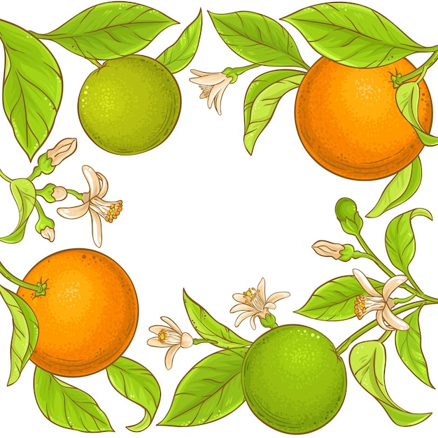 Marco de vector de rama naranja