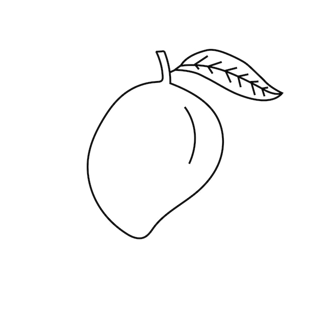 Marco vectorial con mango Patrón transparente de vector Ilustraciones dibujadas a mano