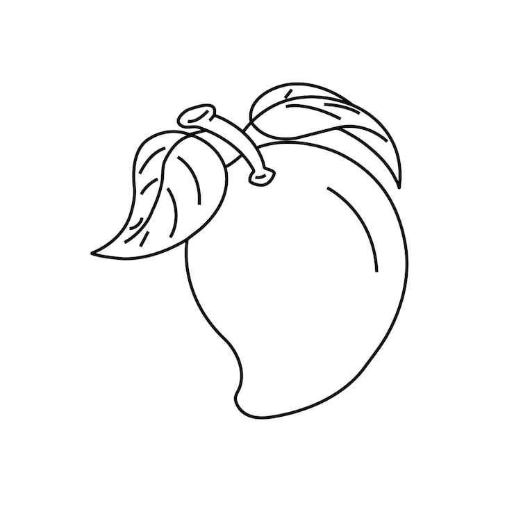Marco vectorial con mango patrón vectorial sin costuras ilustraciones dibujadas a mano