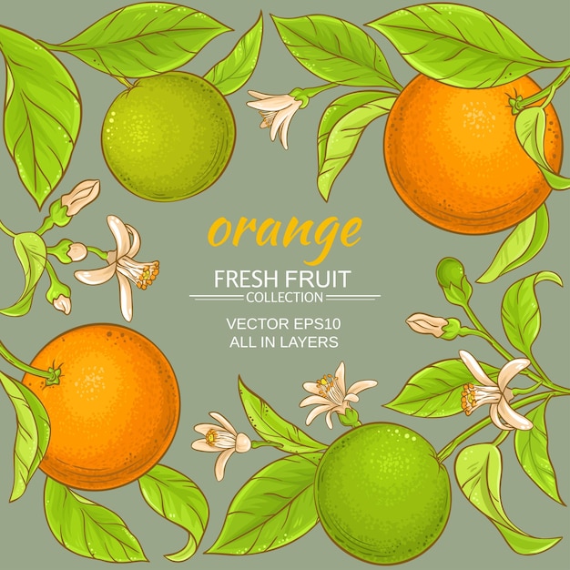 Marco vectorial naranja