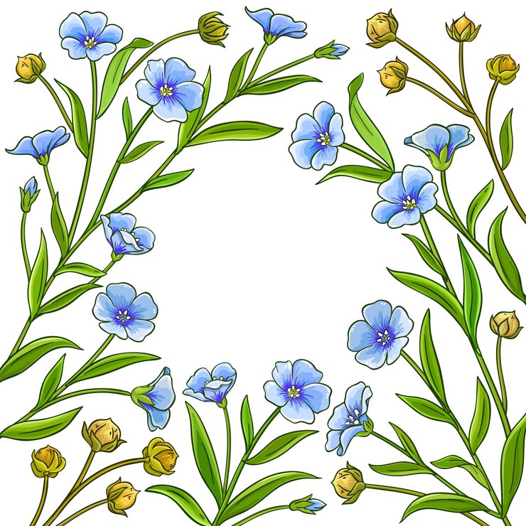 Vector marco vectorial de planta de lino sobre fondo blanco