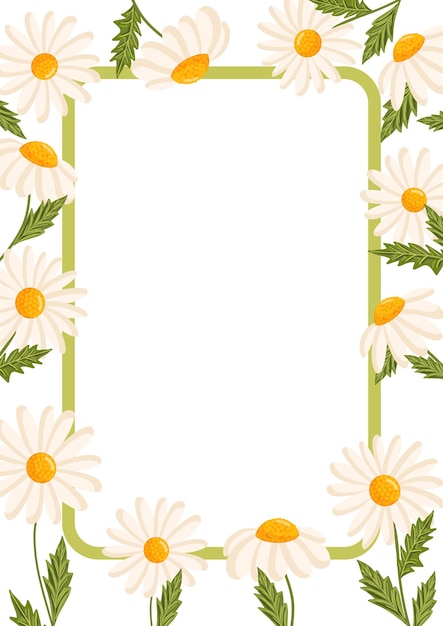Marco vectorial para postal o póster con margaritas Ilustración floral de manzanilla para felicitaciones