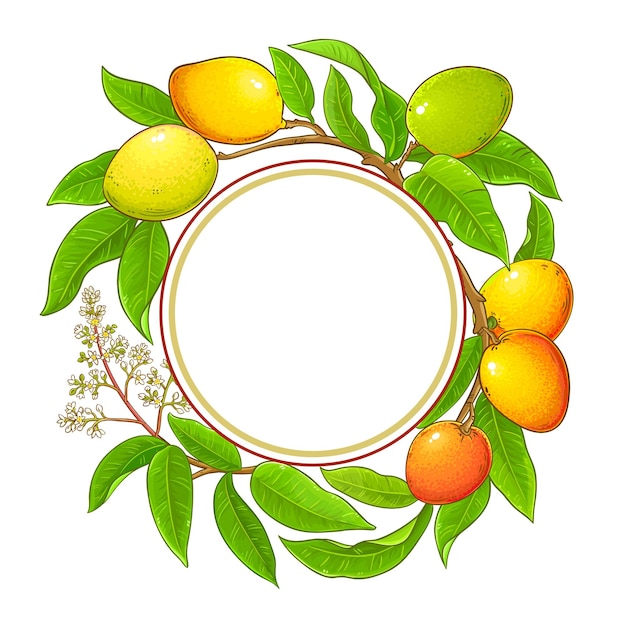 Marco vectorial de ramas de mango sobre un fondo blanco