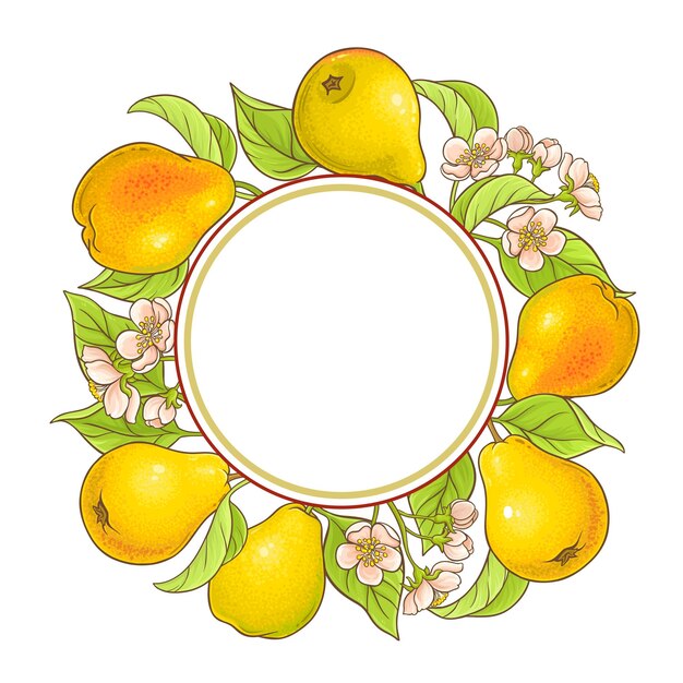 Marco vectorial de ramas de pera sobre fondo blanco.