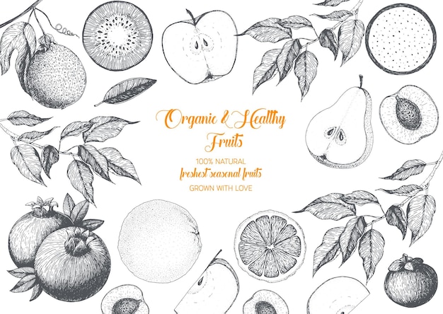 Marco de vista superior de frutas diseño de mercado de agricultores alimentos saludables ilustración de vector de boceto dibujado a mano