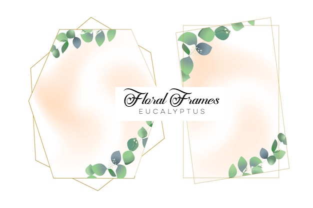 marcos florales de eucalipto