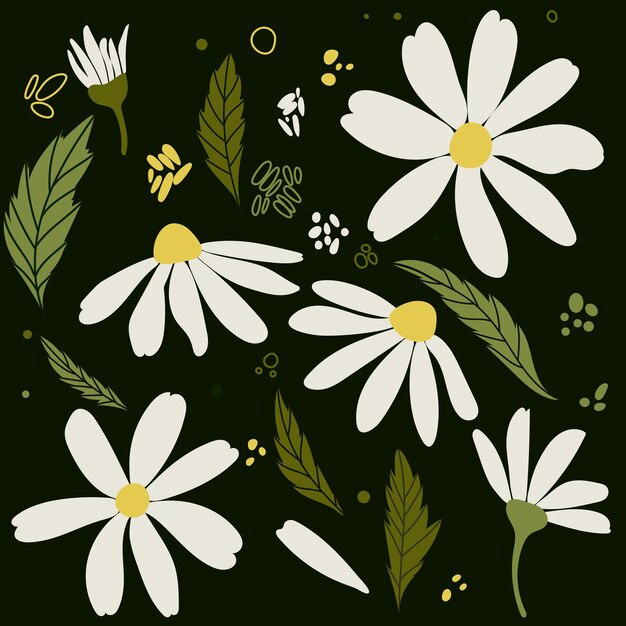 Margarita blanca, flores de manzanilla, conjunto de ilustración vectorial de manzanilla, colección de naturaleza de planta de cabeza de flor redonda linda, elemento de decoración, símbolo de tarjeta de amor, diseño plano para tarjetas, embalaje, impresiones textiles