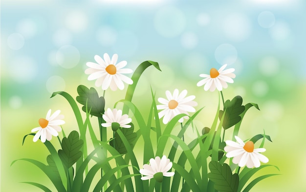 Las margaritas en un prado de primavera