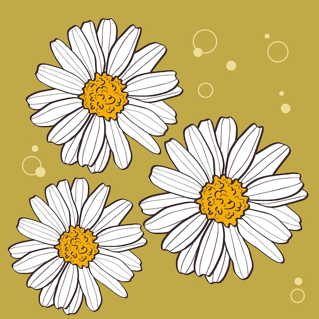 Vector las margaritas son un conjunto de flores vectoriales para postales, pegatinas, tarjetas, pancartas, etc.