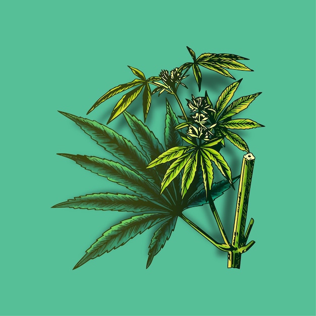 Vector marihuana