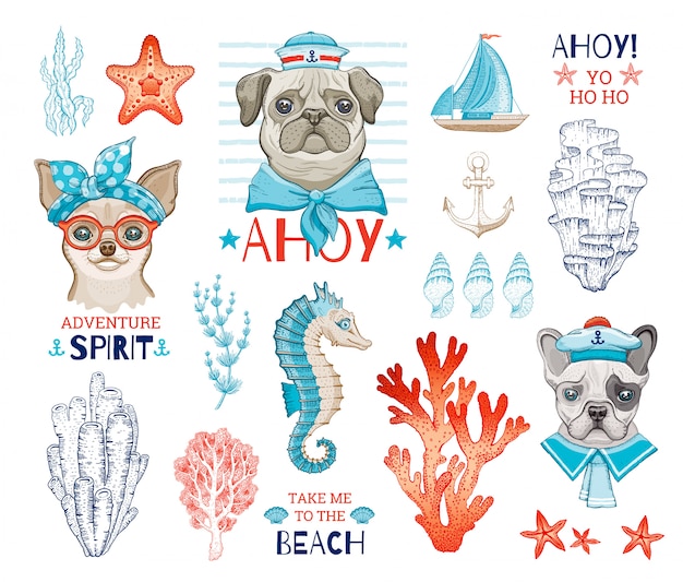 Vector marineros lindo perro con dibujos animados dibujo mar elemento. pug, chihuahua, bulldog francés cachorros divertidos.