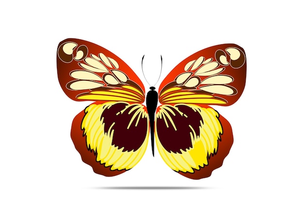 una mariposa con alas amarillas y rojas y una mariposa negra en la parte inferior
