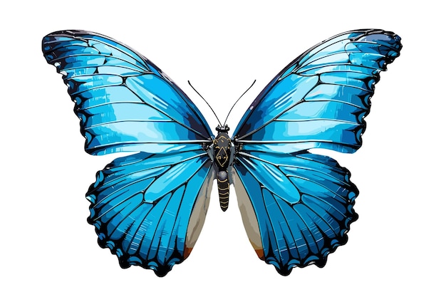 mariposa azul aislada en un fondo blanco ilustración de arte vectorial