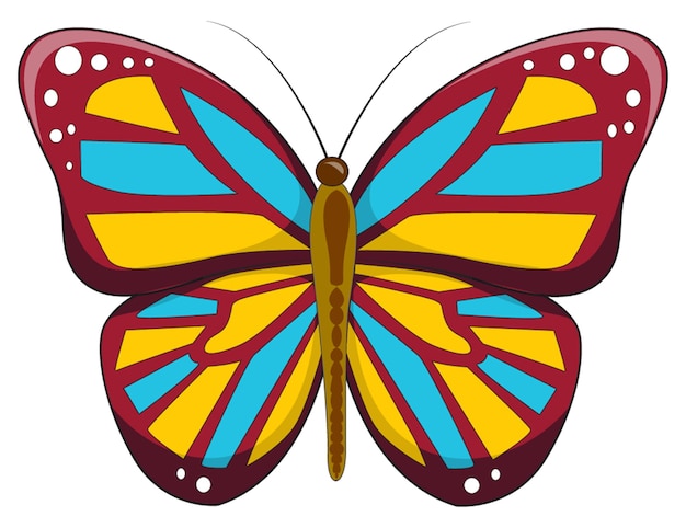 Una mariposa colorida