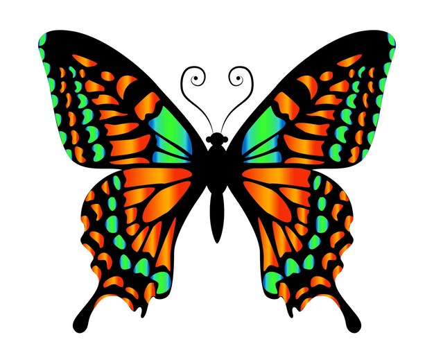 mariposa con coloridas alas de buen diseño