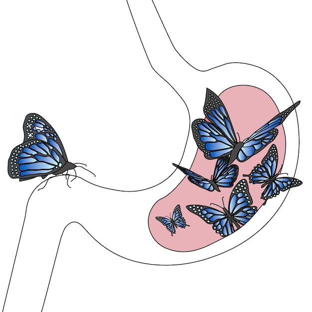 Vector mariposa en el estómago