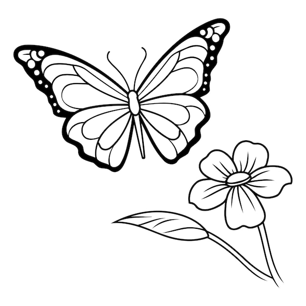 Vector mariposa y flor ilustración en blanco y negro para libro de colorear