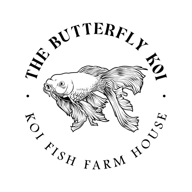 Vector mariposa koi