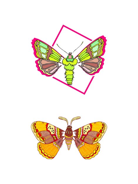 Vector una mariposa y un marco con una mariposa en él