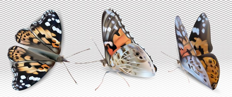 Vector mariposa monarca amarilla voladora sobre fondo transparente