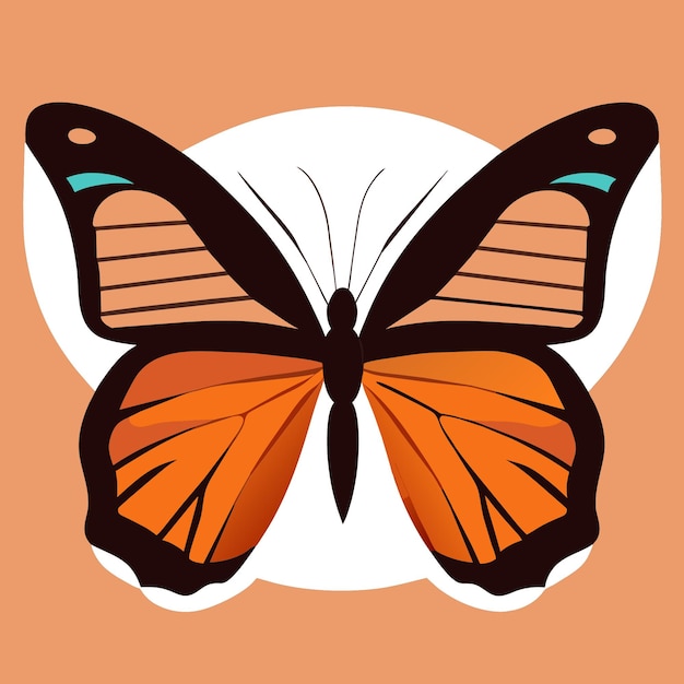 Vector mariposa monarca con elegancia gráfica