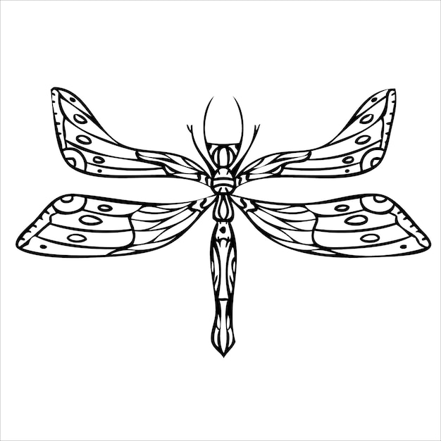 Mariposa nocturna polillas dibujadas a mano ilustración vectorial