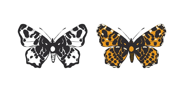 Vector mariposa pintada imágenes de mariposas divertidas imagen conceptual de una mariposa