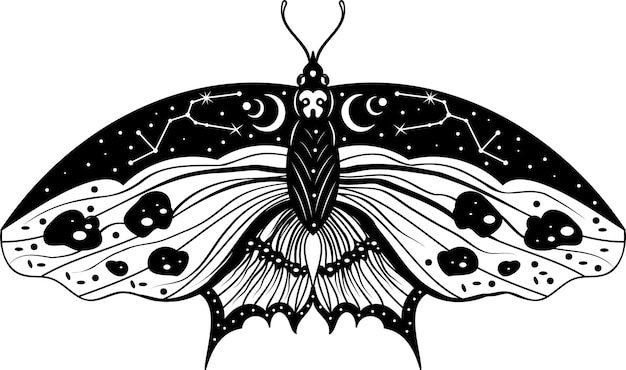 Mariposa Polilla nocturna Silueta de mariposa Ilustración vectorial