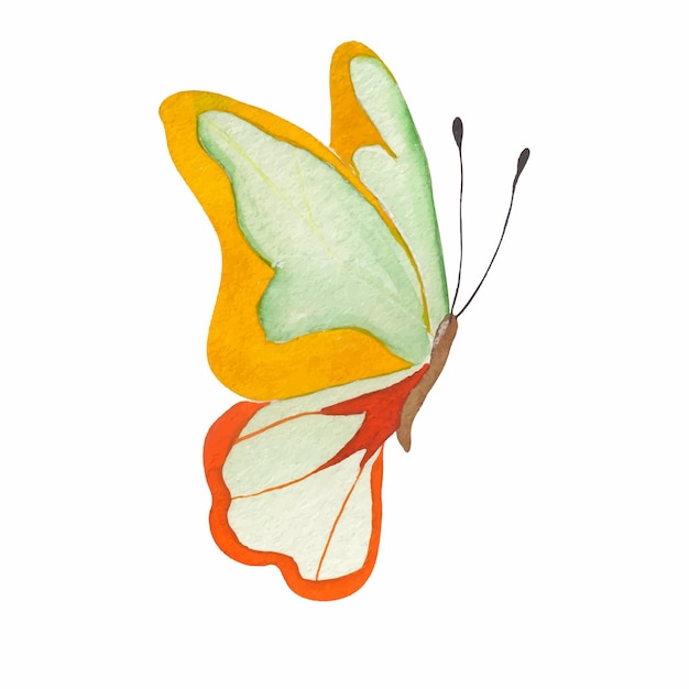 Vector mariposa de primavera de acuarela