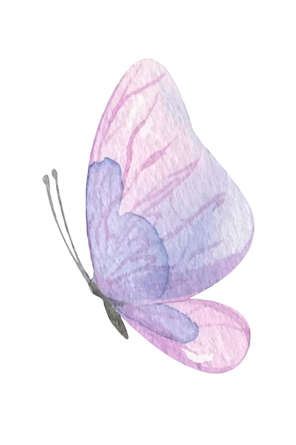 Mariposa púrpura Ilustración acuarela dibujada a mano Objeto aislado sobre un fondo blanco para decoración y diseño