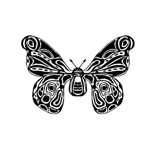 Mariposa tropical dibujada a mano.