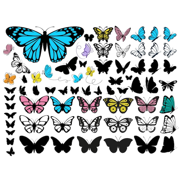 mariposa, vector, contorno, arte, ilustración