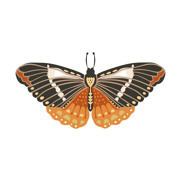 Mariposa vectorial boho