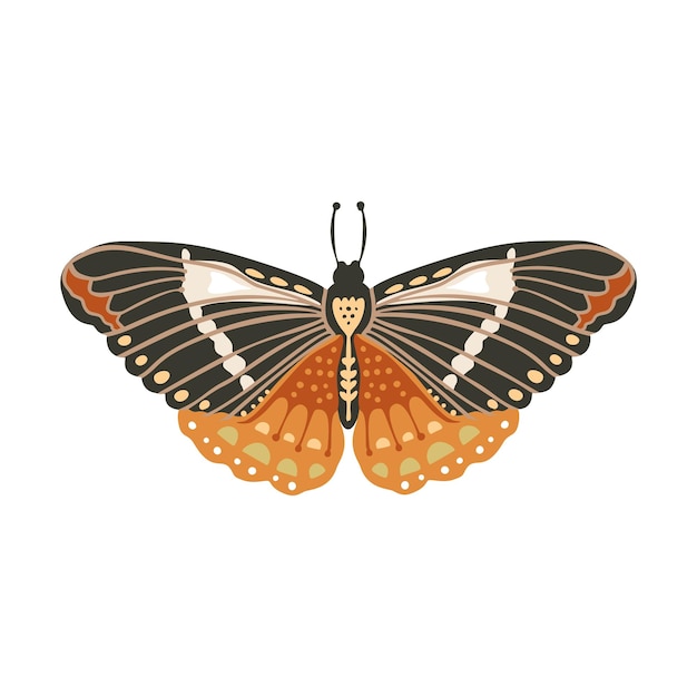 Mariposa vectorial boho