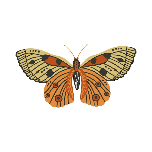 Mariposa vectorial boho