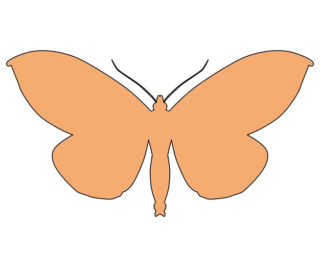 Vector mariposa