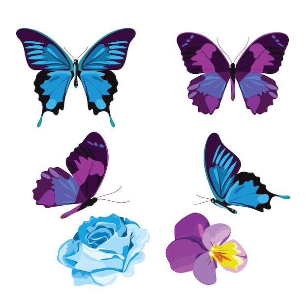 Vector mariposas azules y violetas y flores aisladas