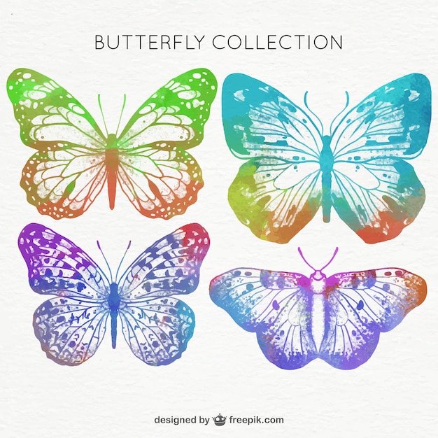 Vector mariposas coloridas pintadas con acuarela