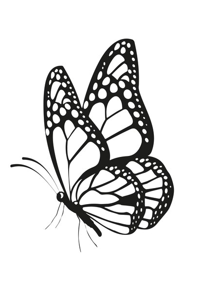 Vector mariposas hermosa decoración negra imagen vectorial aislada en blanco