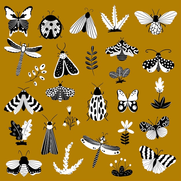 Mariposas, insectos y flores, colección dibujada a mano de varios elementos, elementos aislados sobre un fondo blanco.