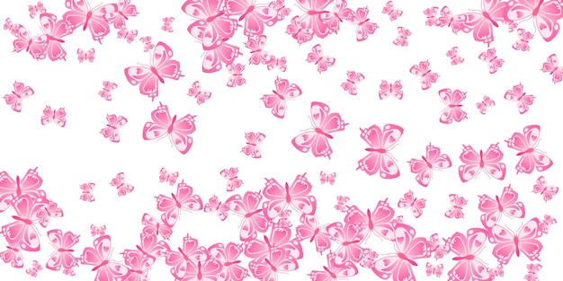 Mariposas rosadas tropicales ilustración vectorial abstracta Primavera b