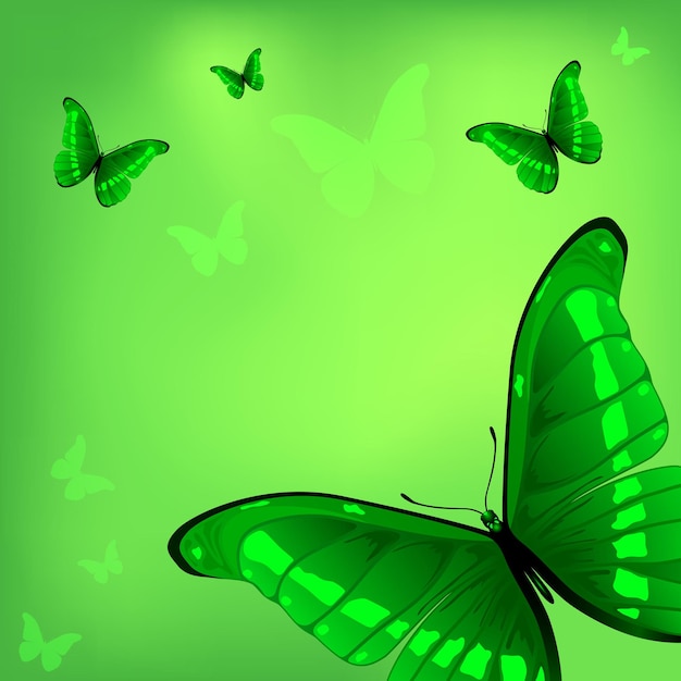 Vector mariposas sobre fondo verde