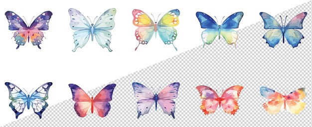 Vector mariposas vectoriales en una ilustración dibujada a mano en acuarela