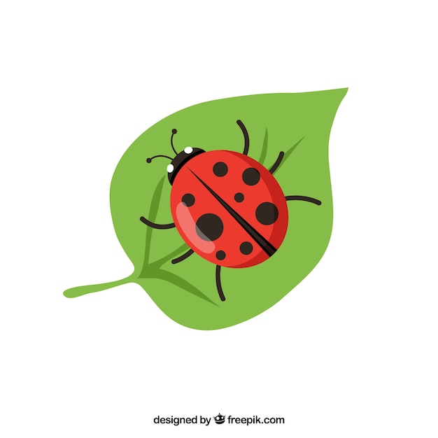 Mariquita vector