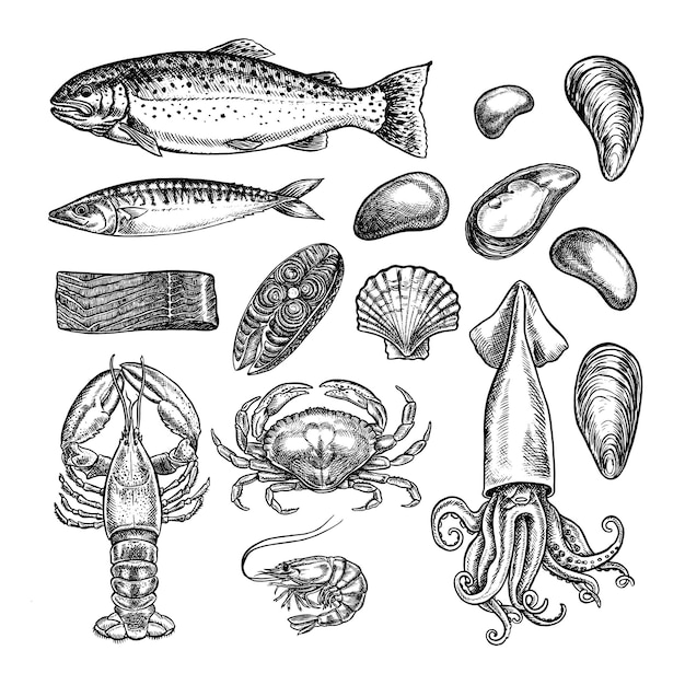 Mariscos de juego trucha caballa y calamar cangrejo cangrejos y camarones mejillones ilustraciones gráficas vectoriales